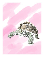 Terry the Tortoise - signed children's book print - Dan Joyce art