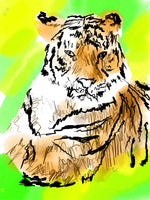 Tina the Tiger - signed children’s book illustration - Dan Joyce art